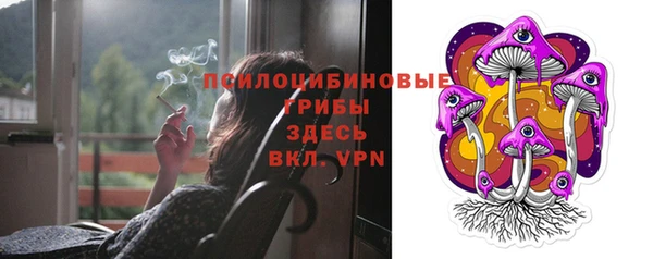 ГАЛЛЮЦИНОГЕННЫЕ ГРИБЫ Верхнеуральск