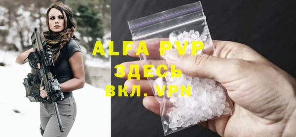 PSILOCYBIN Верея