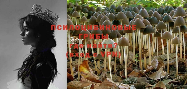 PSILOCYBIN Верея