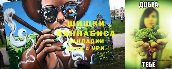 PSILOCYBIN Верея