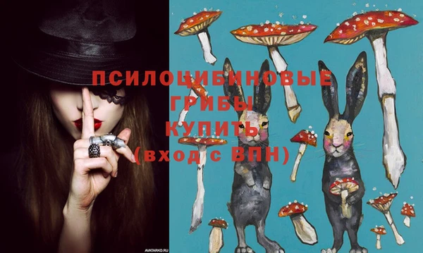 PSILOCYBIN Верея