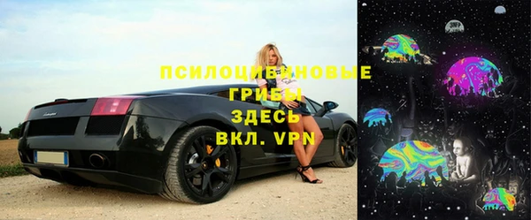 PSILOCYBIN Верея