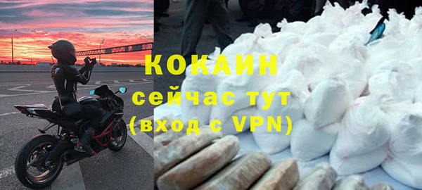 PSILOCYBIN Верея